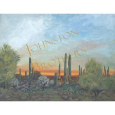 Desert Museum Sunset